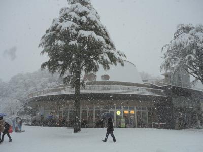 科学館前の大雪