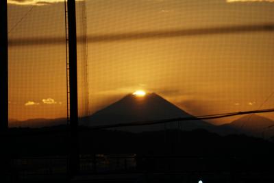 網越しのダイヤモンド富士の画像